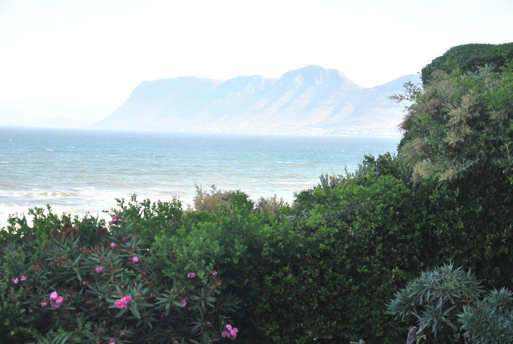 Seaview Apartment In Muizenberg Zewnętrze zdjęcie